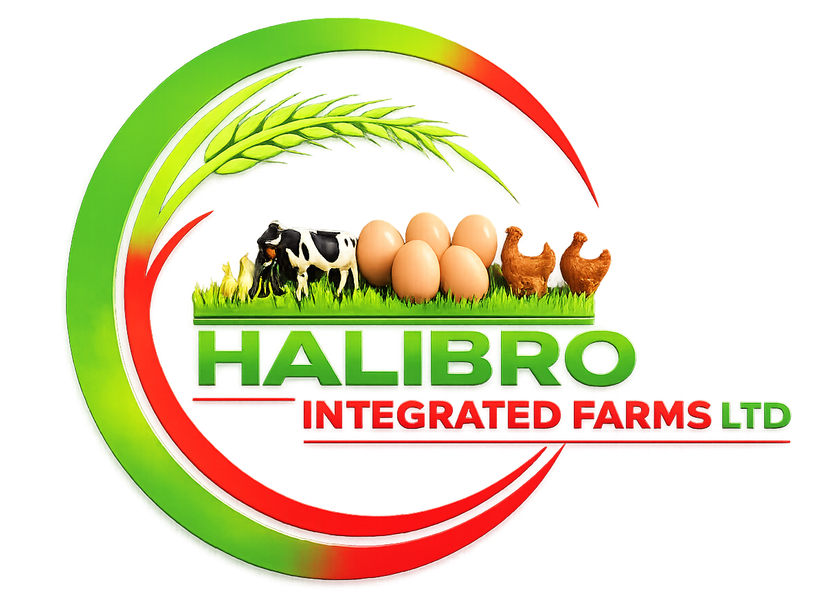 Halibro logo
